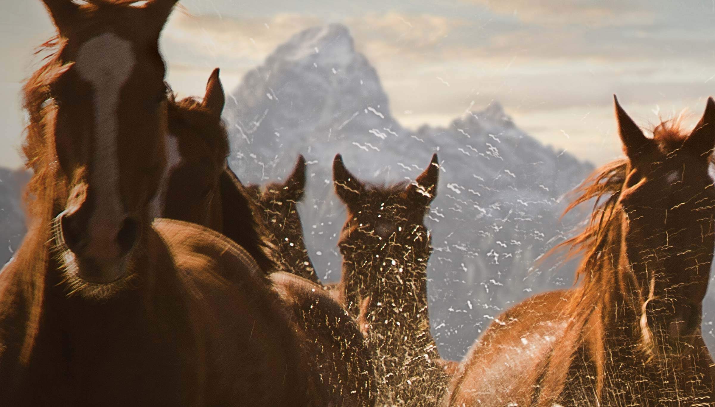 Wyoming Tourism